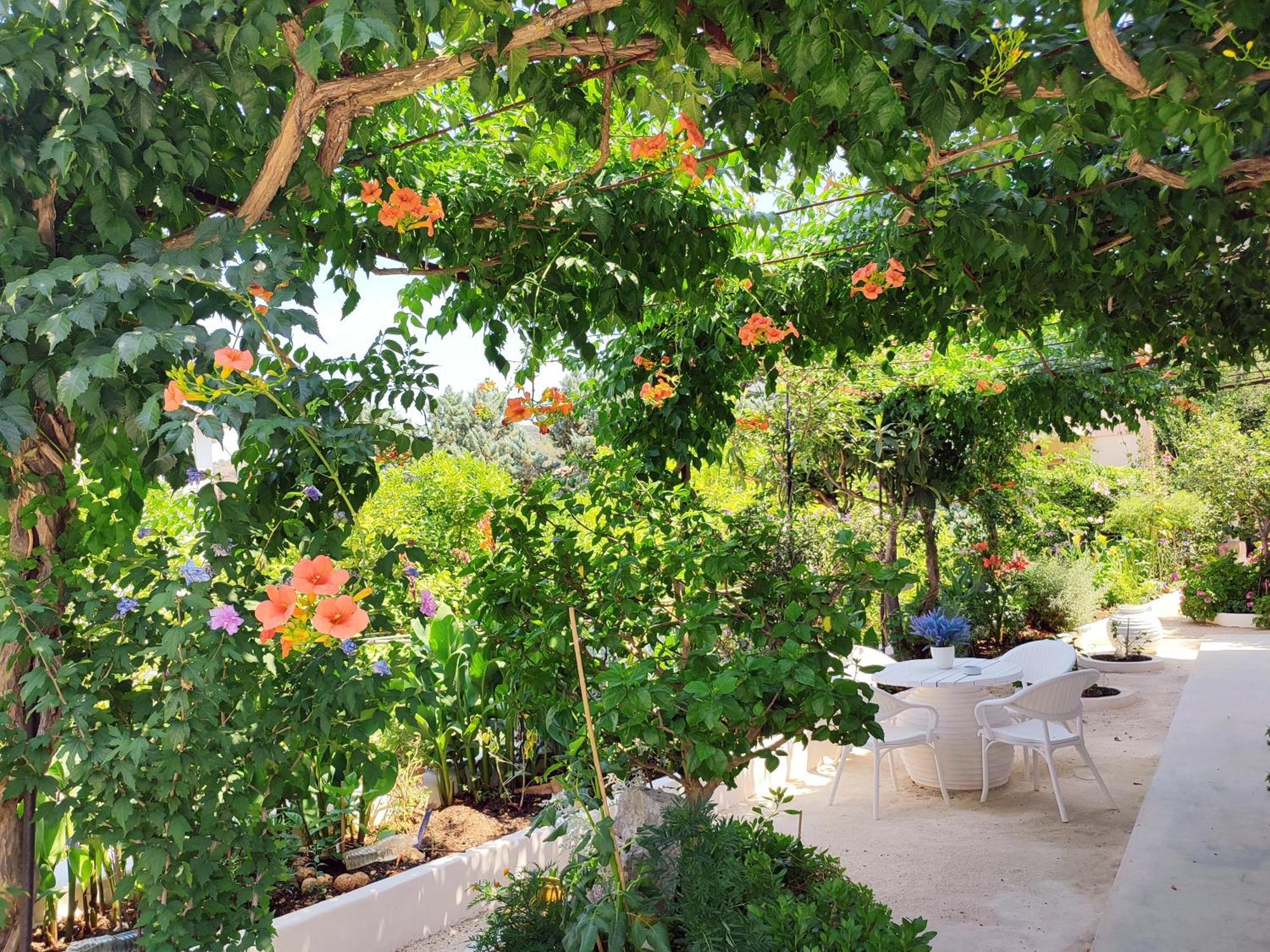 Anticlea II Villa Vathí Kültér fotó