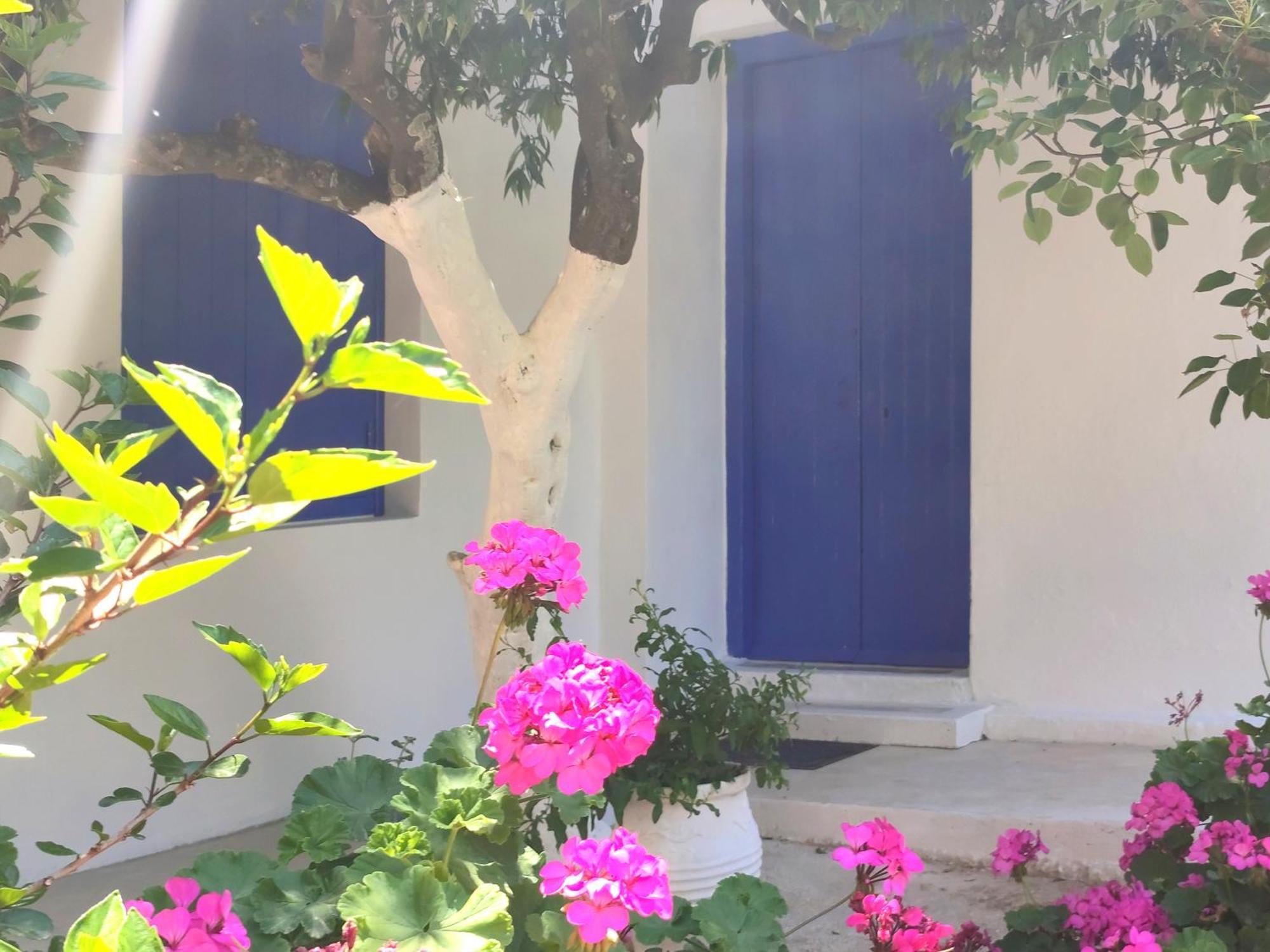 Anticlea II Villa Vathí Kültér fotó